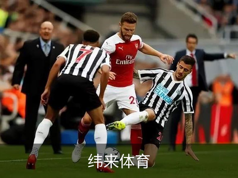 关于纬来体育